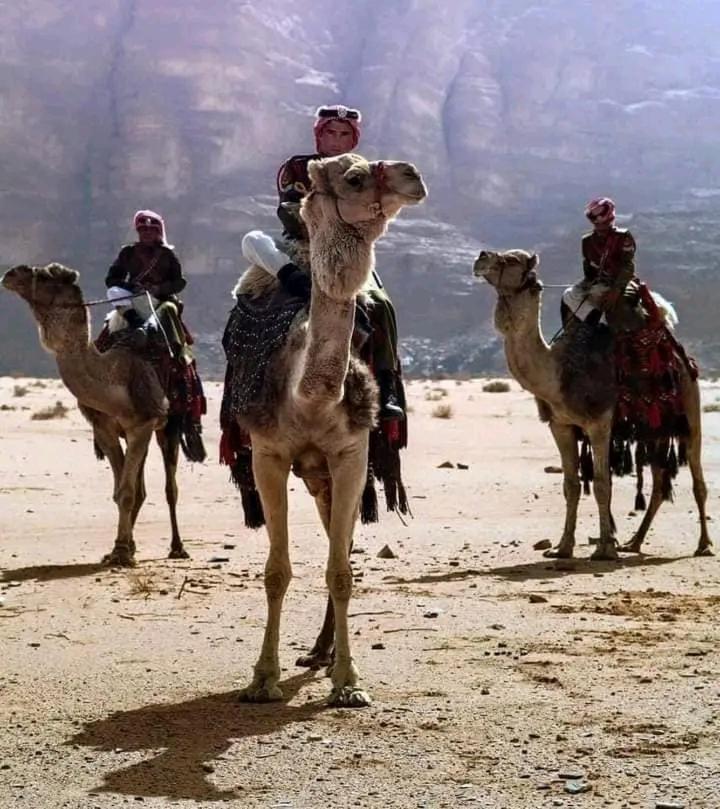 Enad Desert Camp Wadi Rum Exterior photo