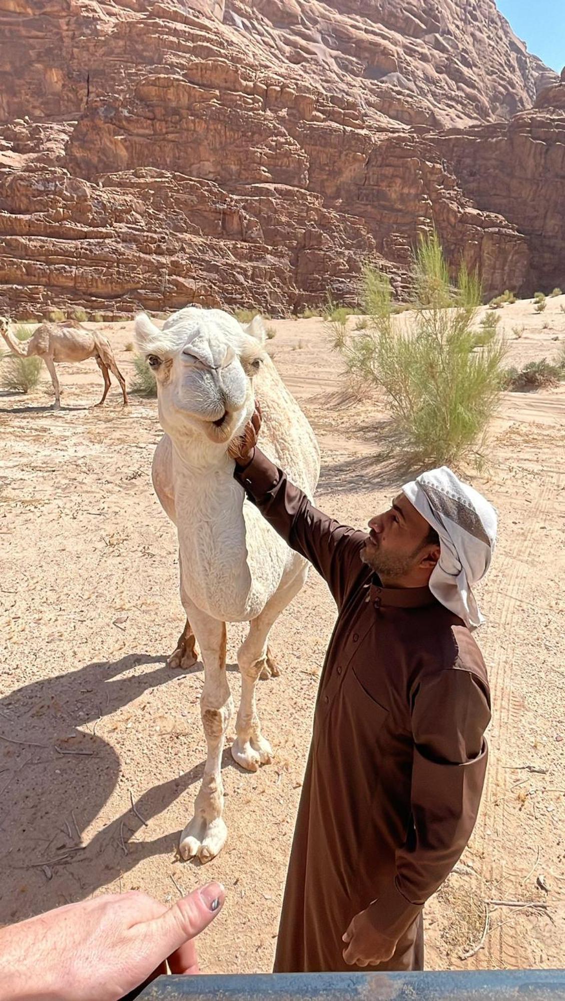 Enad Desert Camp Wadi Rum Exterior photo